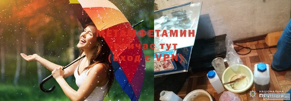 PSILOCYBIN Армянск