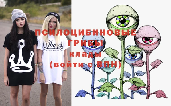 PSILOCYBIN Армянск
