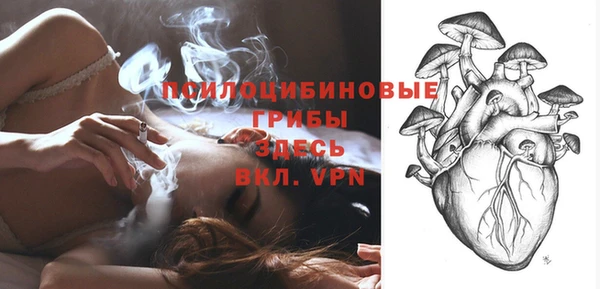 PSILOCYBIN Армянск